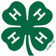 Logo of Forsyth County 4-H NC